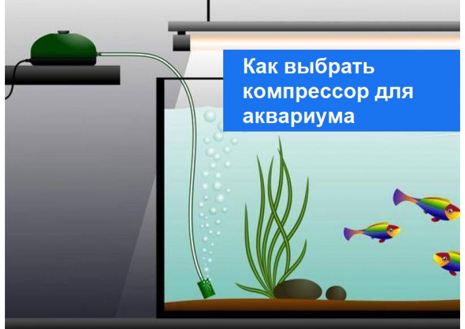 Как выбрать компрессор для аквариума
